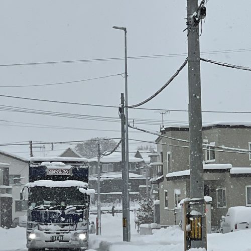 いよいよやってきました！！