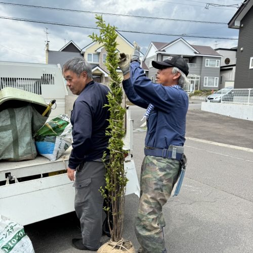 七飯町外構工事⑪【植栽】