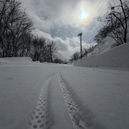 明日はどこ行こう・・・