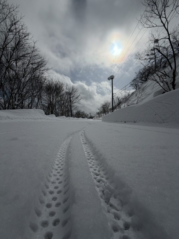 明日はどこ行こう・・・